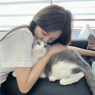 拿破仑先生