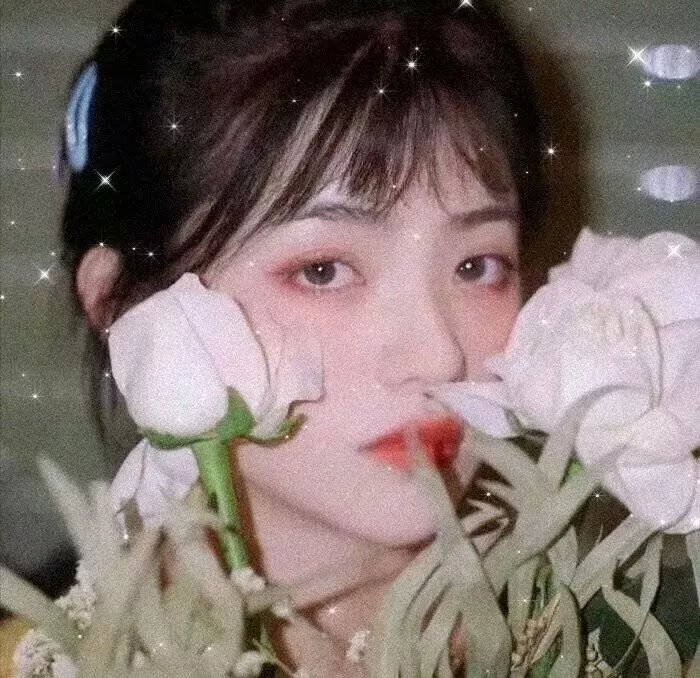 赛马娘第二季